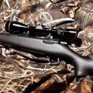 Meet your Posher, Tanner